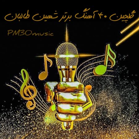 آهنگ های برتر شهین طالبان